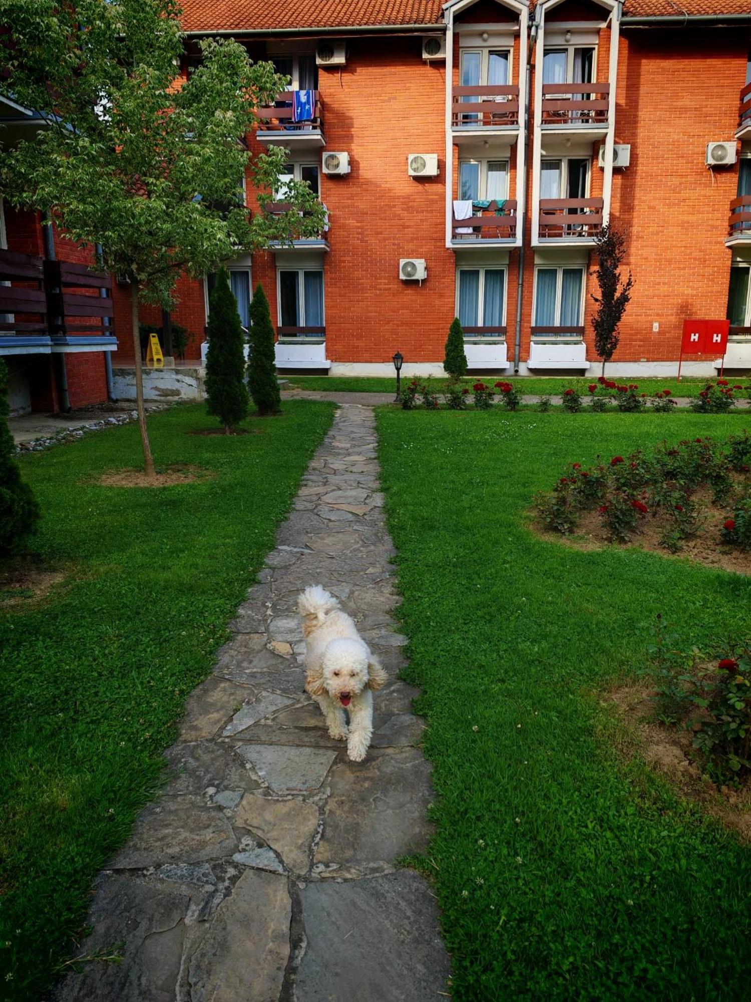 Apartmani La Magaza Banja Vrujci Berkovac Exterior foto