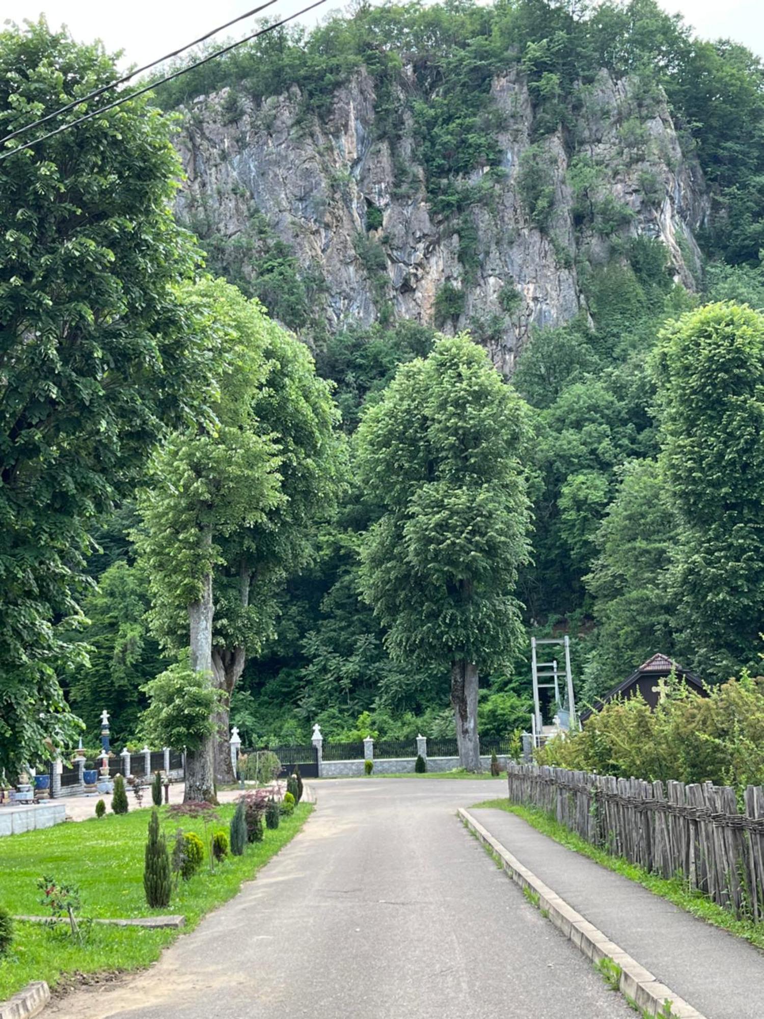 Apartmani La Magaza Banja Vrujci Berkovac Exterior foto